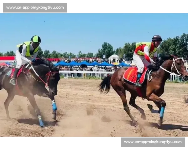 巅峰对决！国内顶级马术赛在邯郸激情开赛