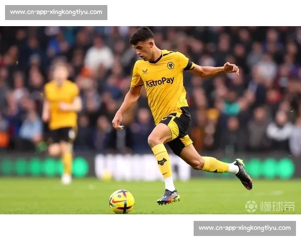 海纳力挺赫内斯：马特乌斯的转会费言论荒谬且不负责任